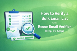 how to verify a bulk email list - reoon